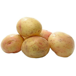 Burgonya, Francia (2kg-os)...