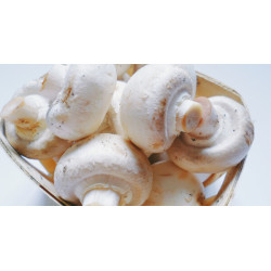 버섯, 고추 500gr / Gomba,...