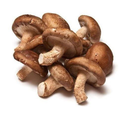 버섯, 시타키 500gr / Gomba,...