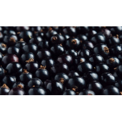 베리, 건포도 500gr 상자 / Bogyós,...