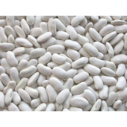야채, 흰콩 500gr 패킷 / Termény,...